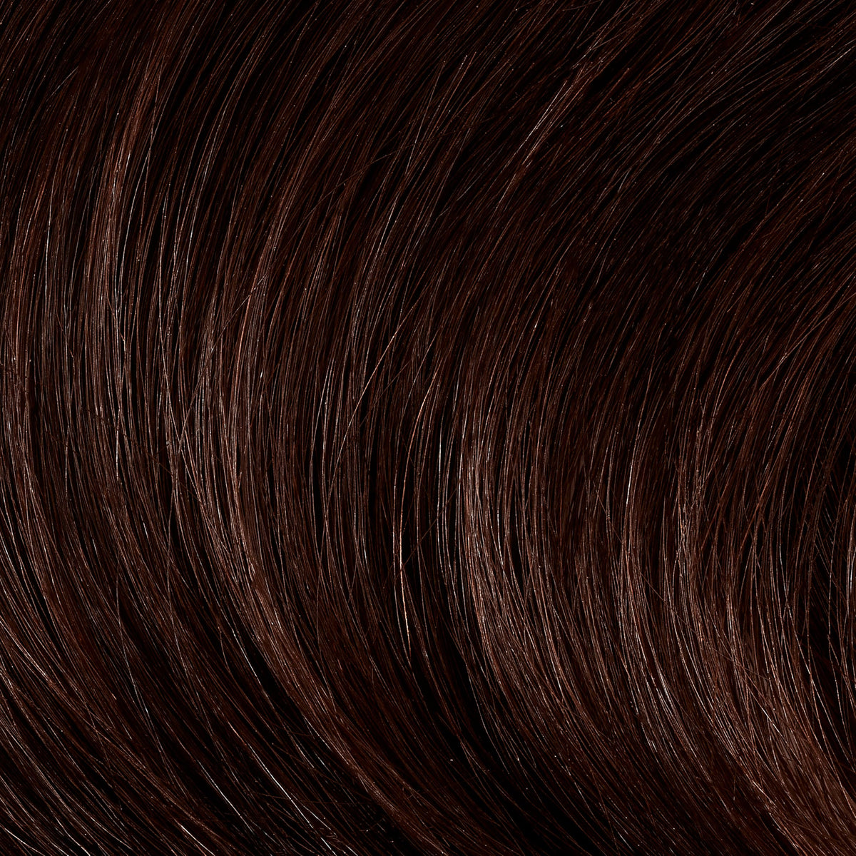 Clairol Professional hair colour application process
