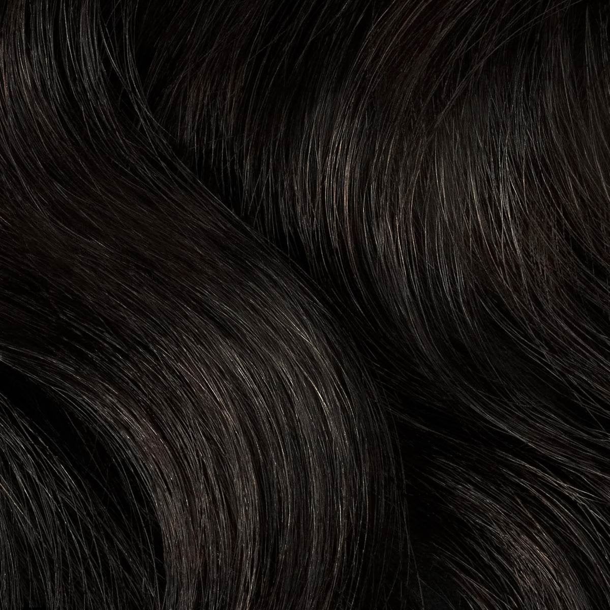 Clairol Professional hair colour application process