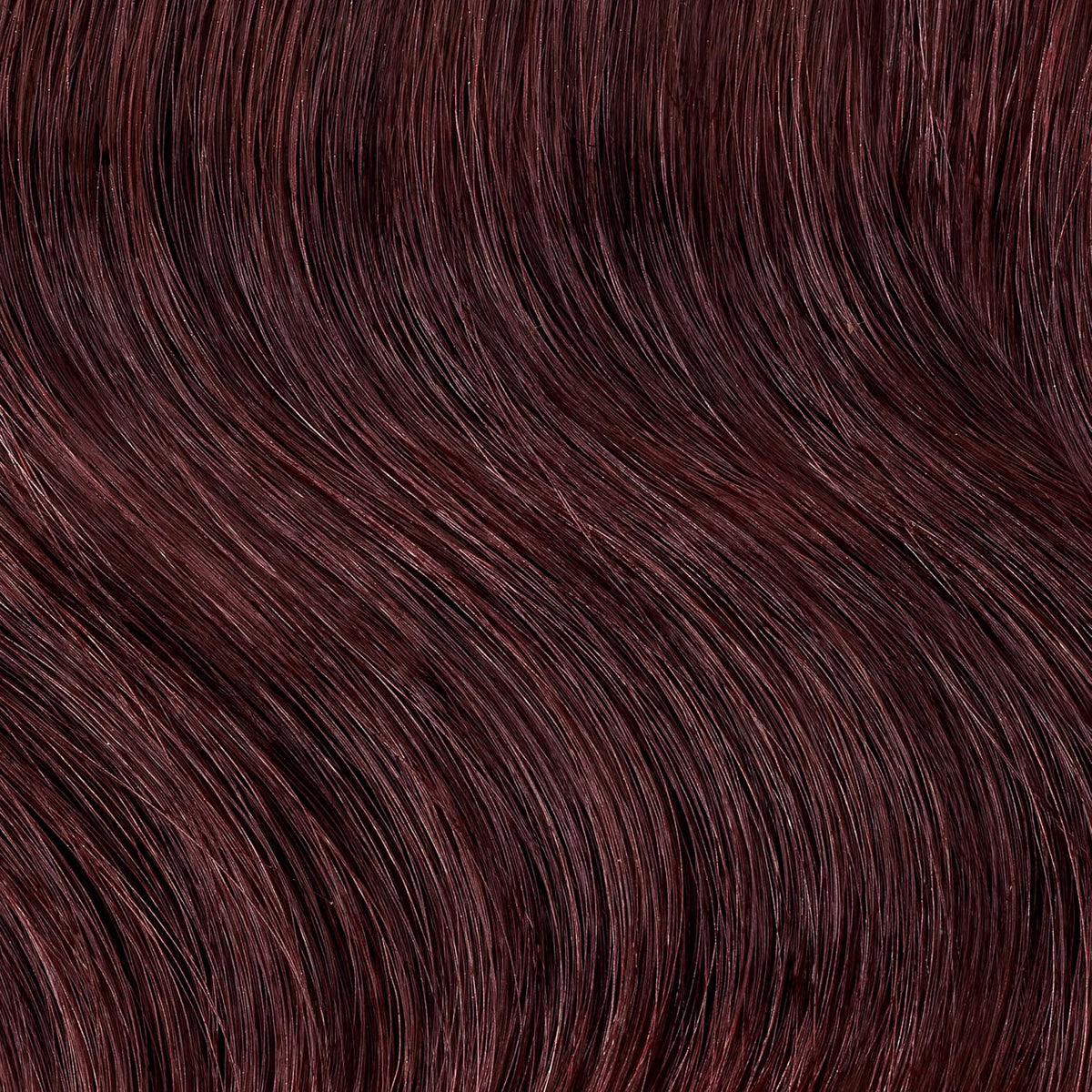 Clairol Professional hair colour application process