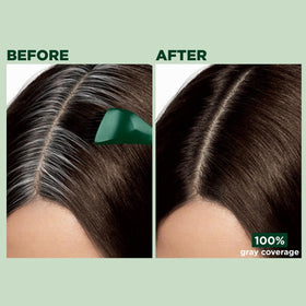 Clairol Root Touch-Up Natural Instincts application process