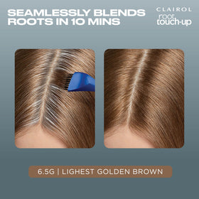 Clairol Root Touch Up Permanent Hair Dye application process