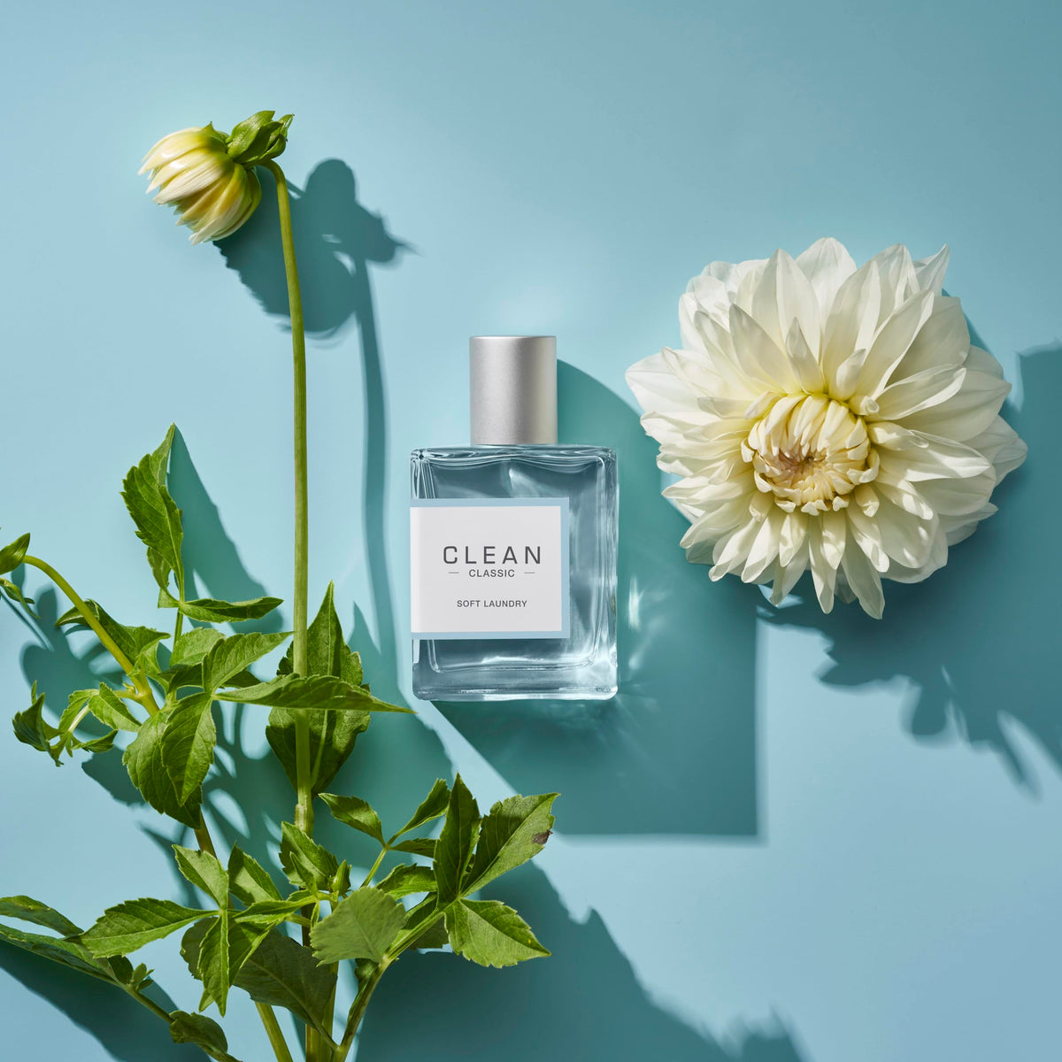 CLEAN Soft Laundry Eau de Parfum 60mL packaging