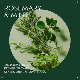 Close-up of Aveda Rosemary Mint Shampoo texture