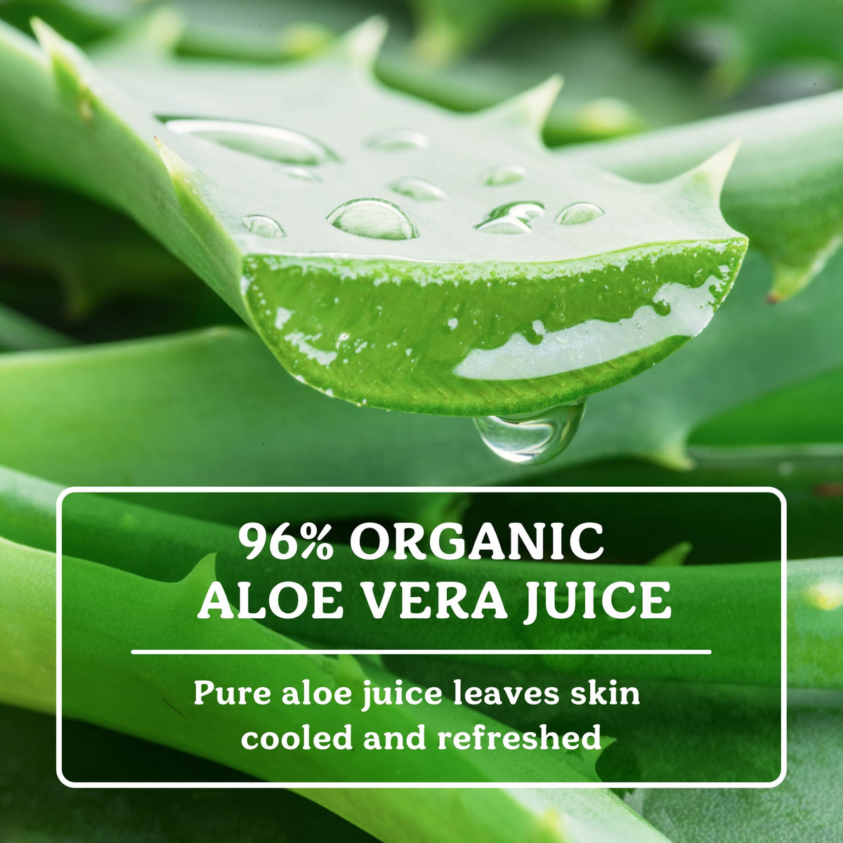 Close-up of Badger Aloe Vera Gel texture on skin