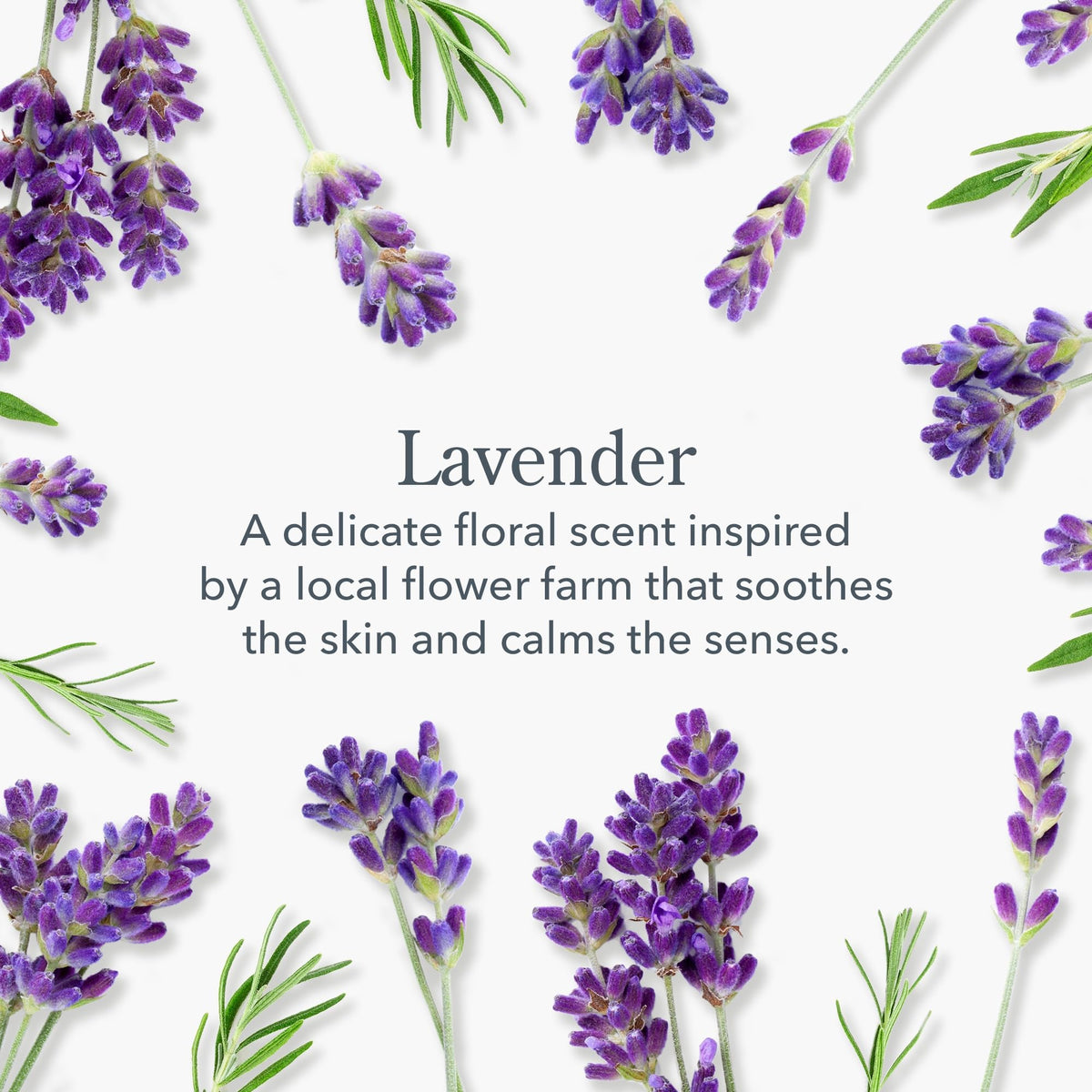 Close-up of Beekman 1802 Goat Milk Soap Lavender texture