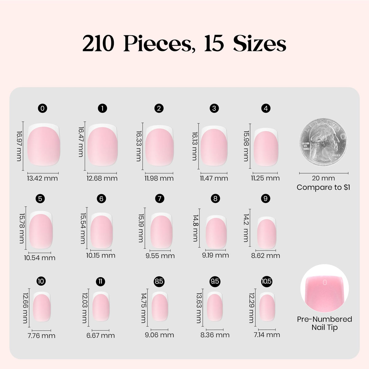 close-up of beetles French tip press on nails showing size options