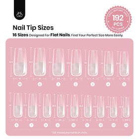 close-up of beetles Gel Polish Instant Apex Nail Tips with structured apex