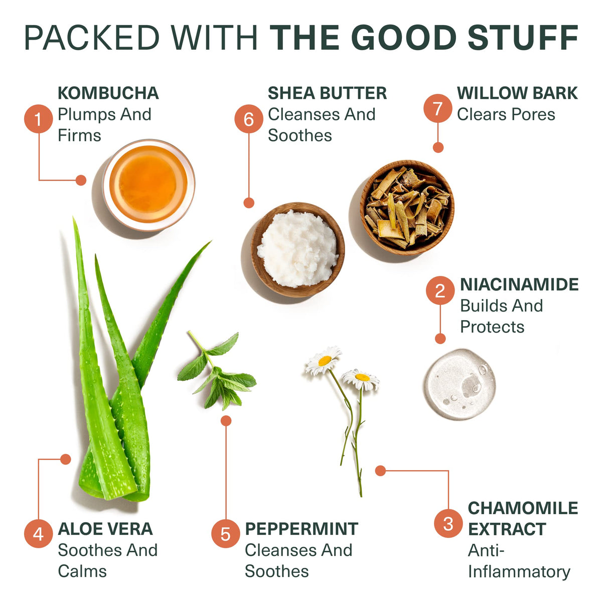 Close-up of Botanic Tree face wash ingredients