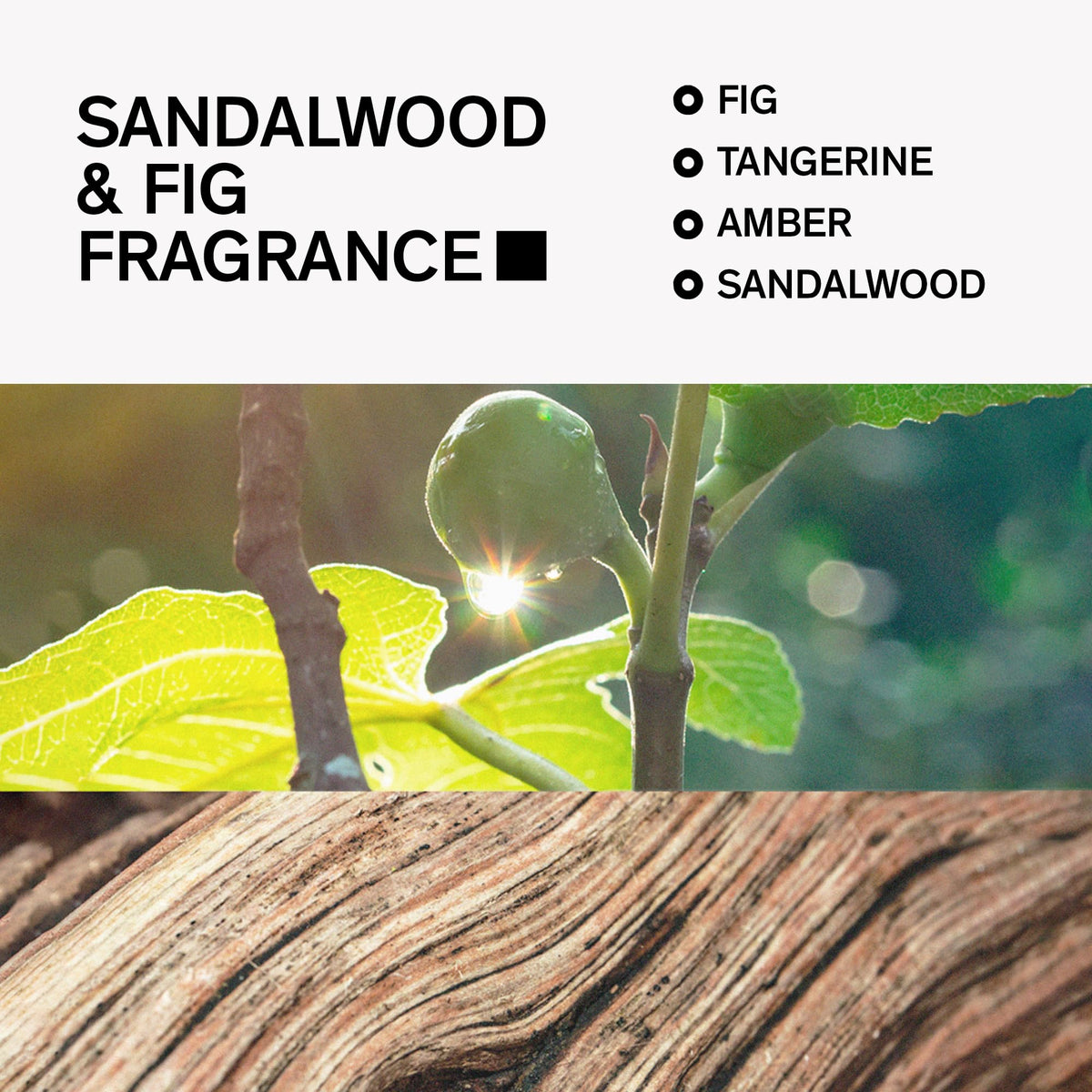 Close-up of Bravo Sierra Deodorant showing Sandalwood & Fig scent
