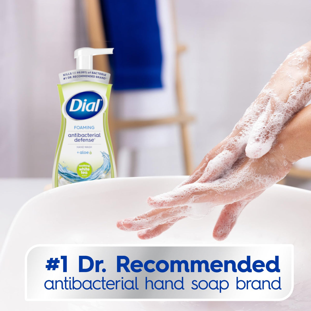 Close-up of Dial Antibacterial Foaming Hand Wash pump