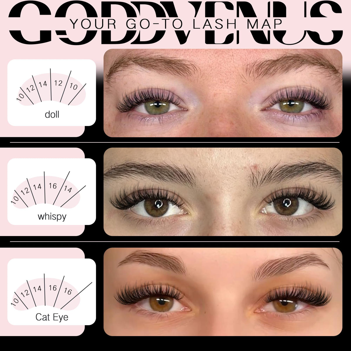 Close-up of Goddvenus D Curl lash clusters on display