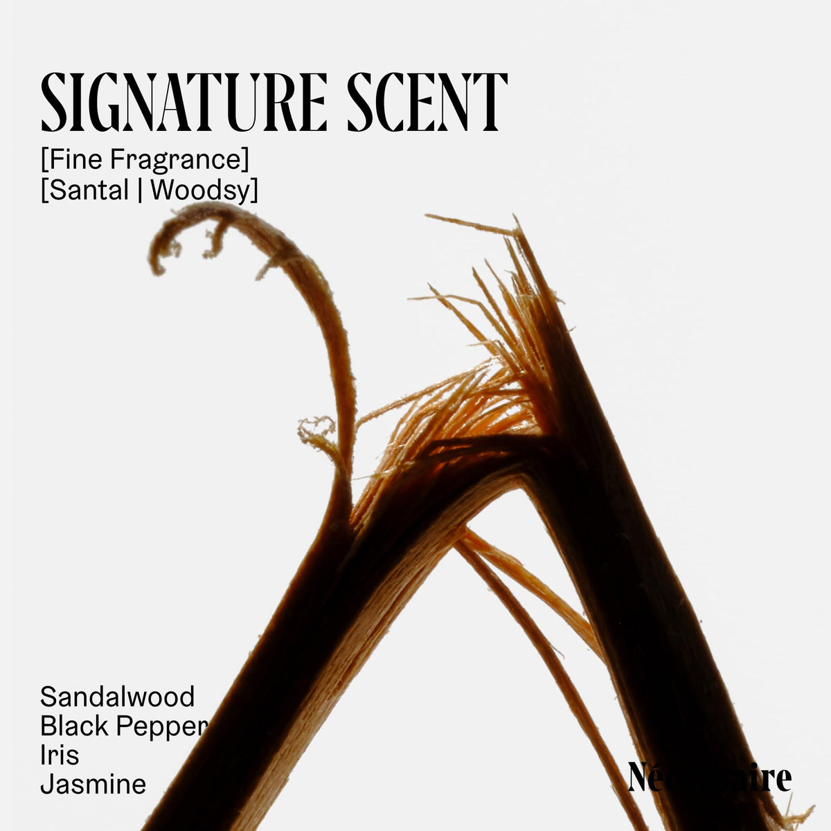 Close-up of Nécessaire The Body Exfoliator Santal texture