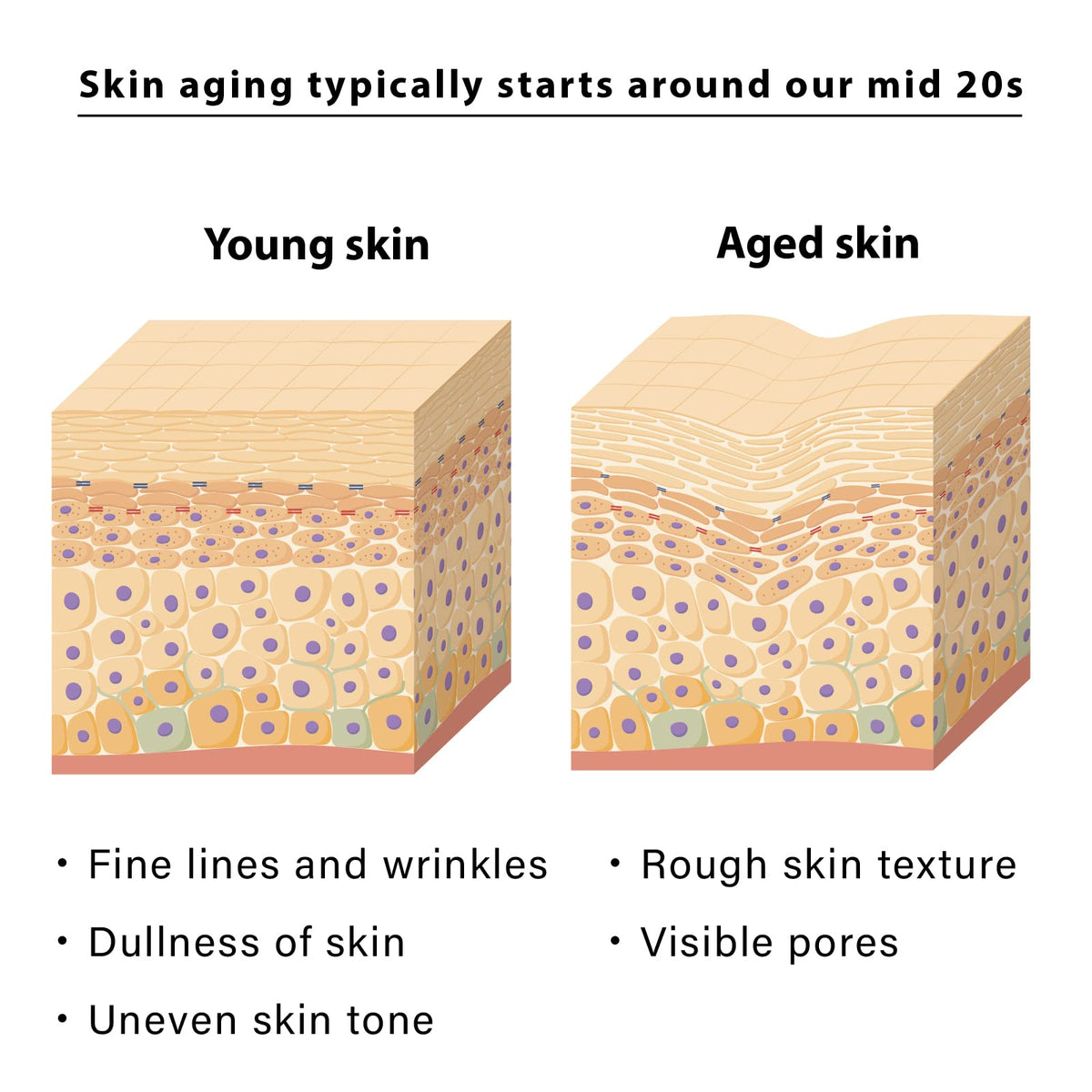 Close-up of NEW ANGANCE Arctic Rejuvenation support Facial Mask texture