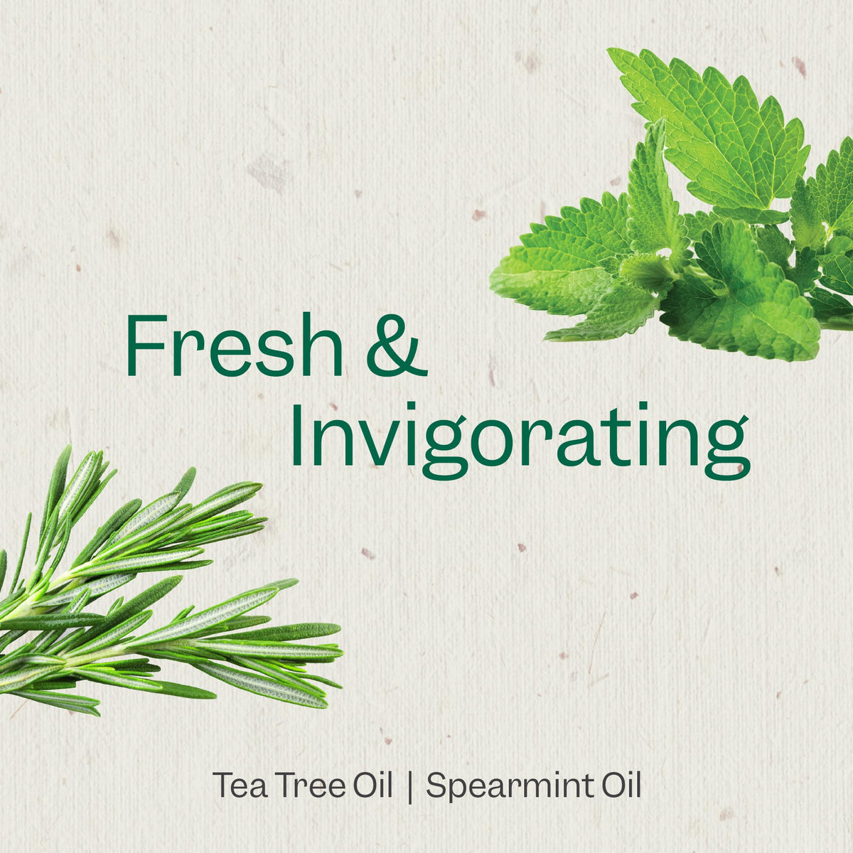 Close-up of RENPURE Tea Tree & Mint Body Wash label