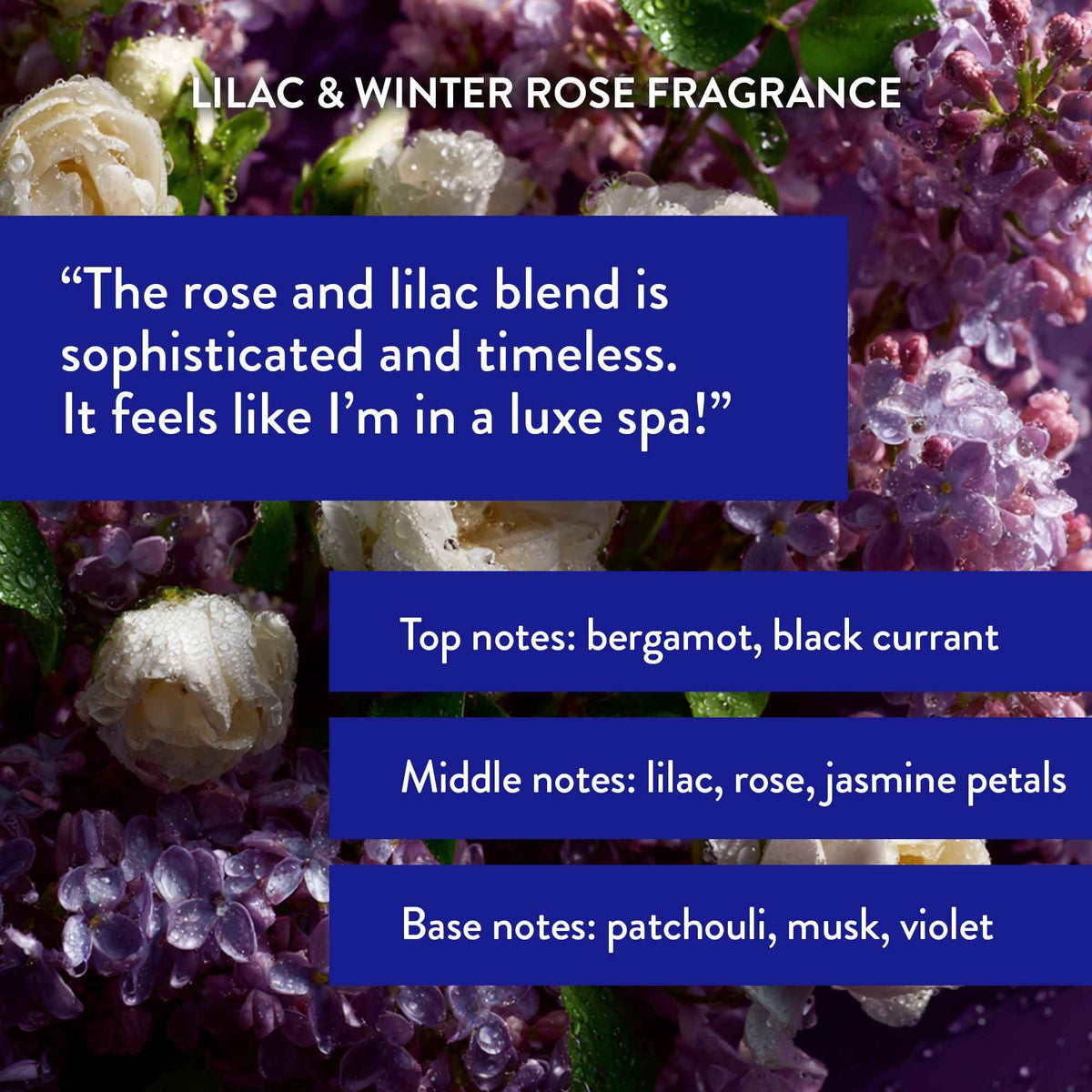 Close-up of Routine Wellness shampoo texture