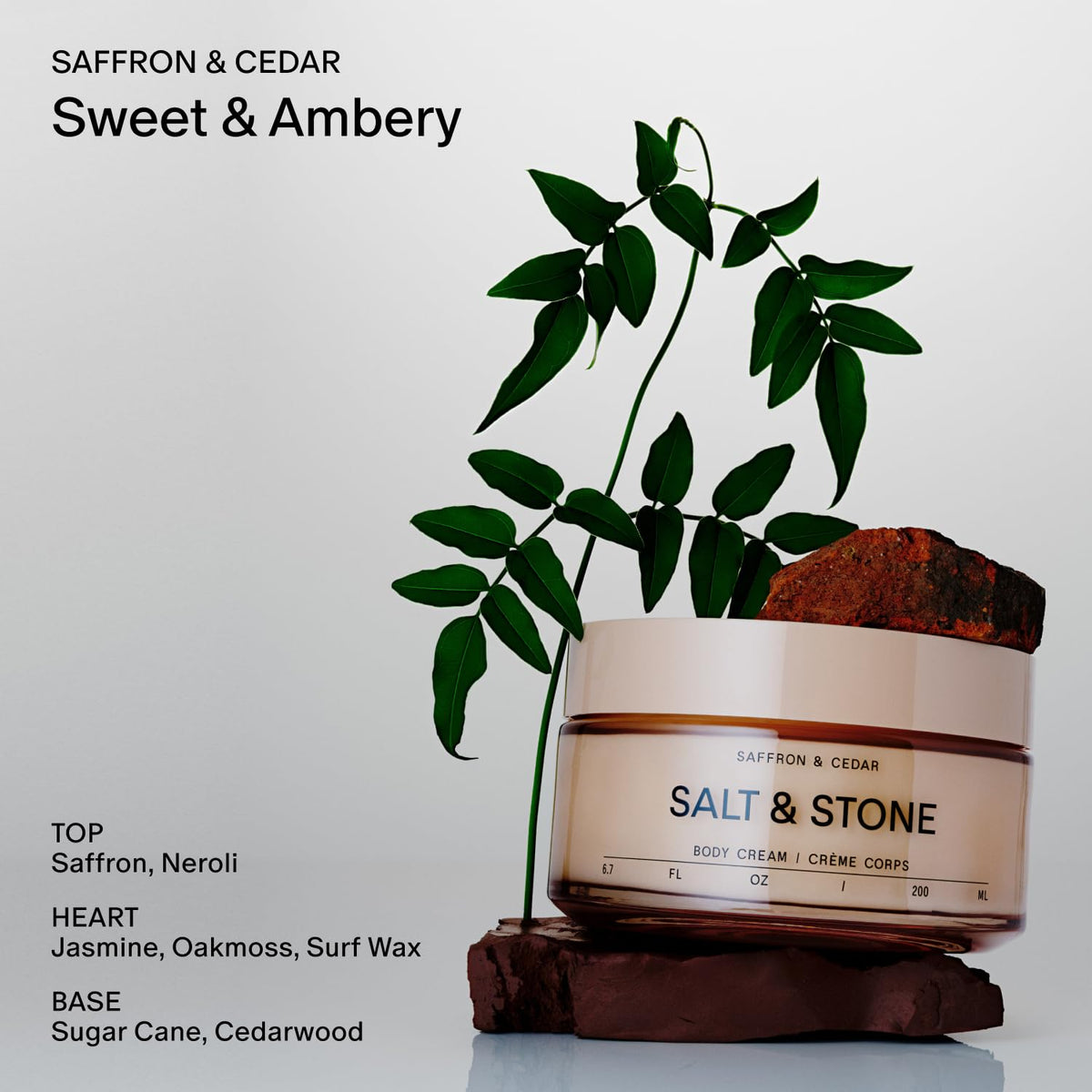 Close-up of Salt & Stone Body Cream texture