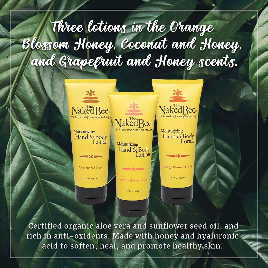 Close-up of The Naked Bee Hand & Body Lotion tube with organic ingredients