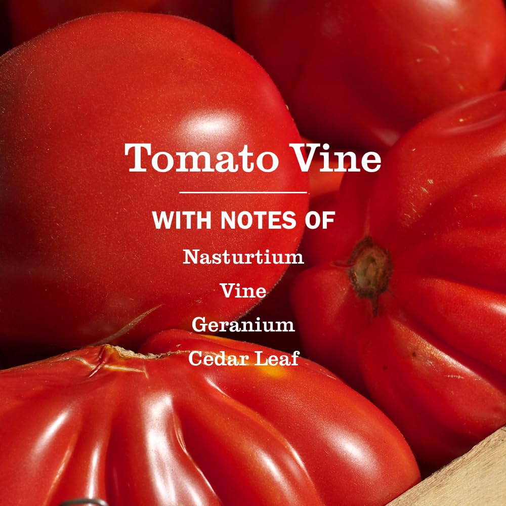 Close-up of Tomato Vine hand soap bottle and pump
