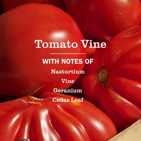 Close-up of Tomato Vine hand soap bottle and pump