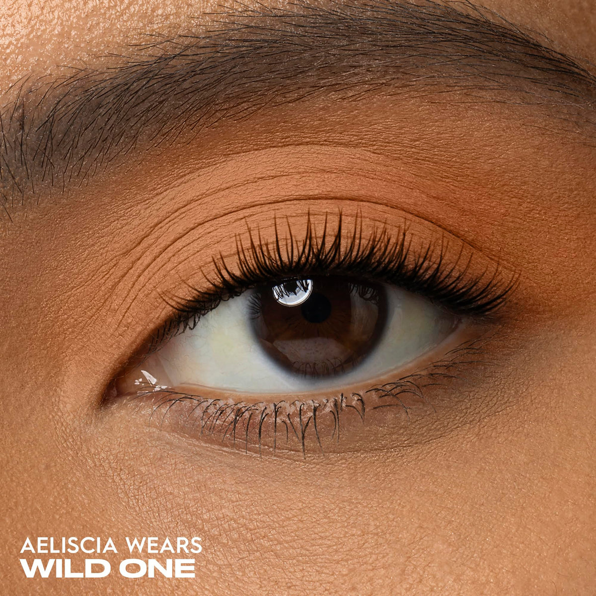 Close-up of URBAN DECAY 24/7 Eyeshadow Burnt Orange Matte Shadow compact