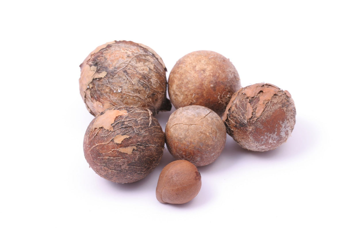 Close-up of US Organic Tamanu Oil texture