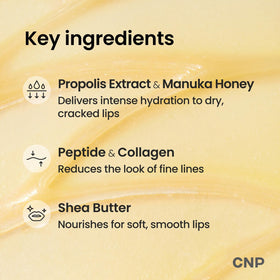CNP Propolis Lipcerin™ 0.5 fl.oz. packaging