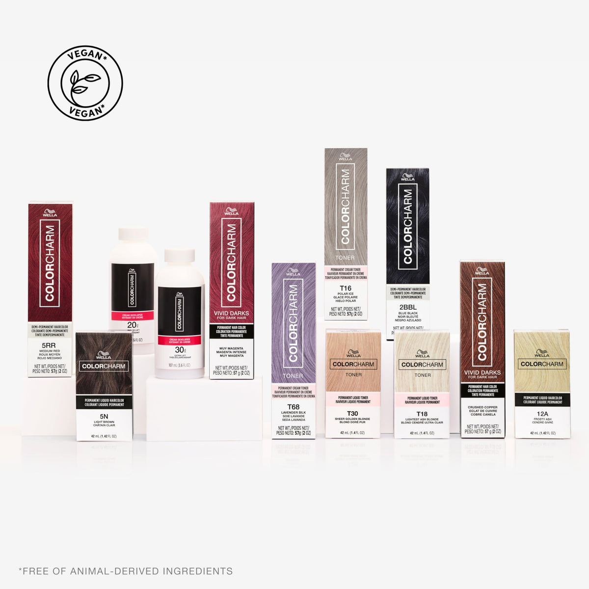 COLORCHARM Cream Hair Color Developer 20 Volume with mixing tools