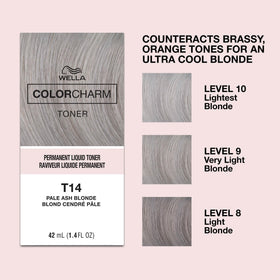 COLORCHARM Permanent Liquid Hair Toner back view