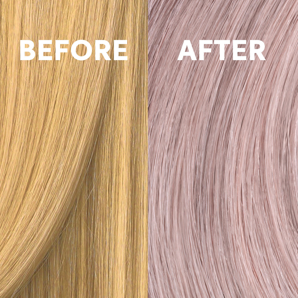 COLORCHARM T05 toner with hair swatches