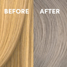 COLORCHARM T81 Intense Ash Blonde toner results on hair