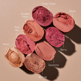 Colorescience Total Protection Color Balm SPF 50 Blush applied on lips