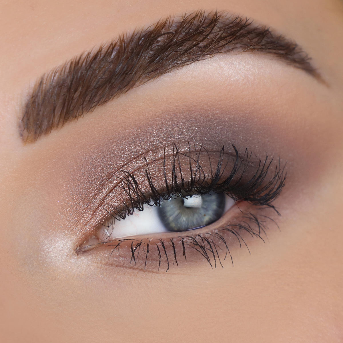 ColourPop Stone Cold Fox Eyeshadow Palette open with shades visible
