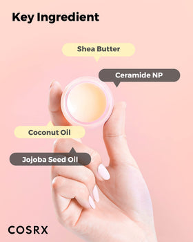 COSRX Honey Sugar Lip Scrub ingredients list on back