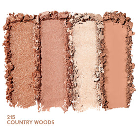 COVERGIRL Eye support 4-Kit Eyeshadow matte shade close-up