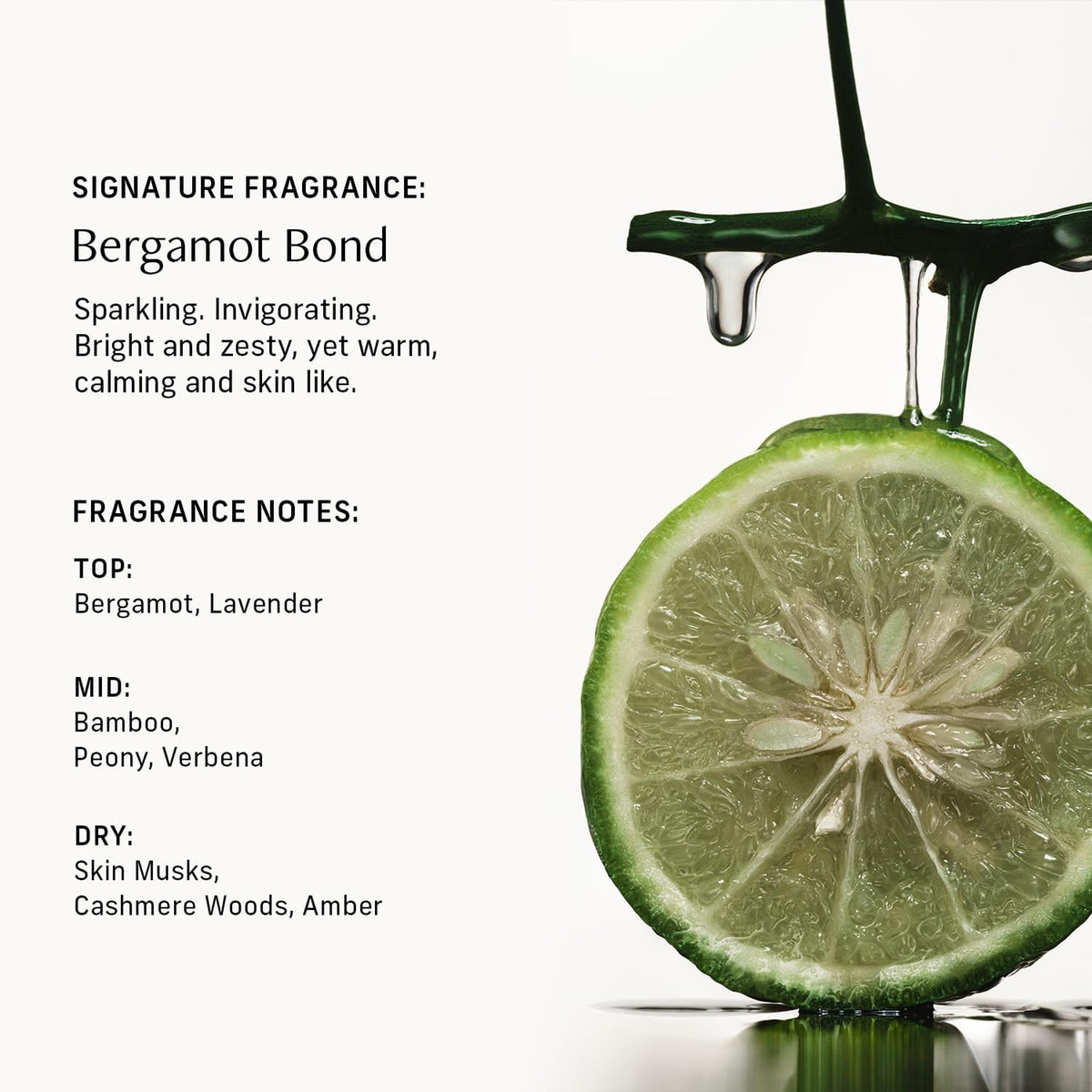 CYKLAR Nutrient Rich Body Cream with Bergamot Bond scent