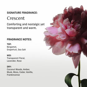 CYKLAR Nutrient Rich Body Cream with natural ingredients
