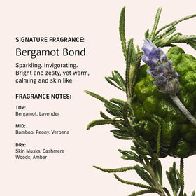 CYKLAR Perfume Oil Bergamot Bond 15ml in a lifestyle setting