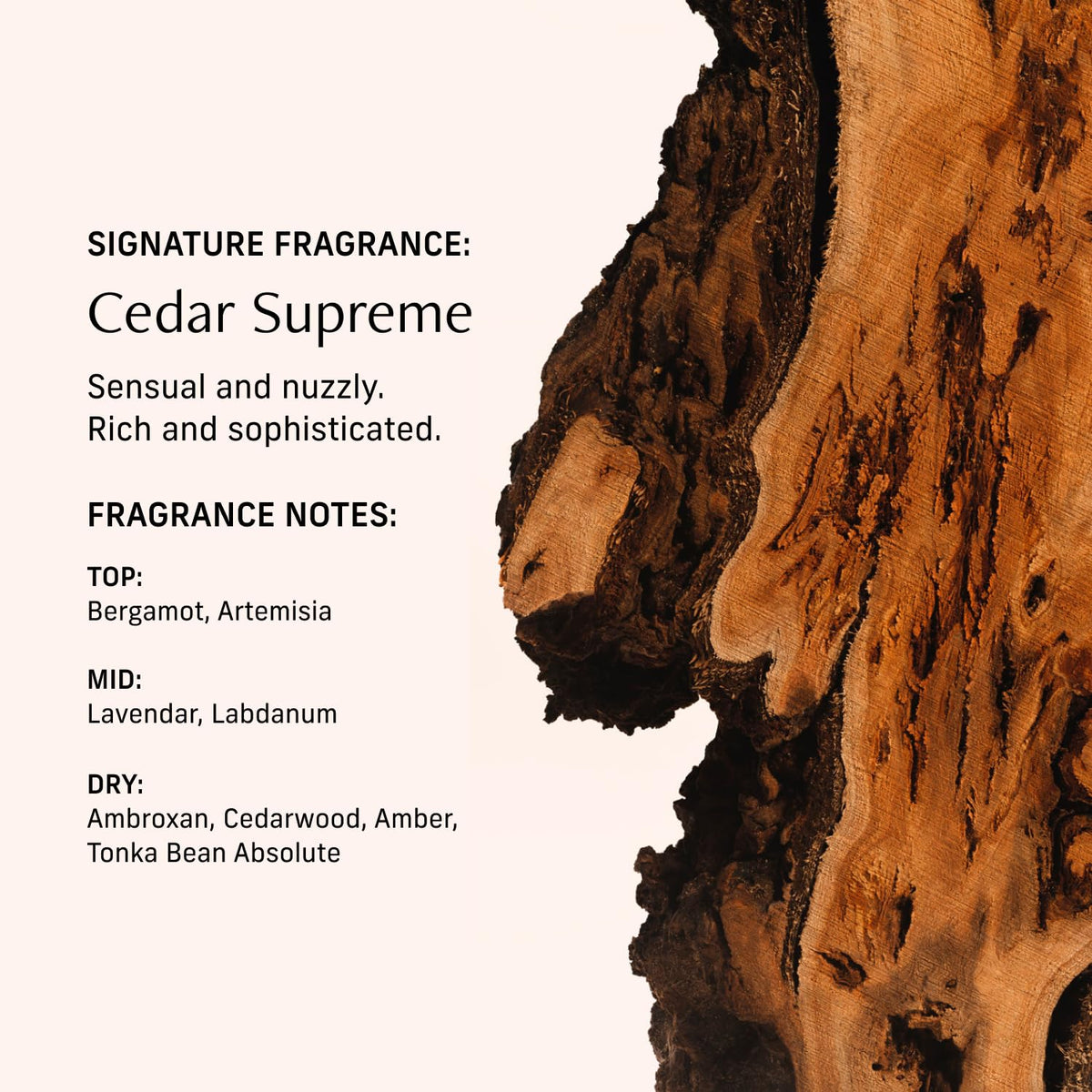 CYKLAR Perfume Oil Cedar 15ml bottle with packaging