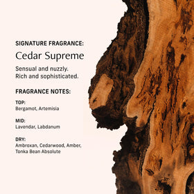 CYKLAR Perfume Oil Cedar 15ml bottle with packaging