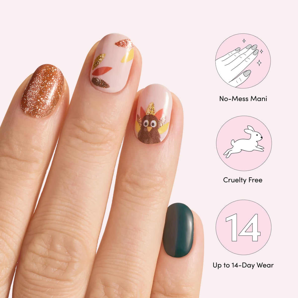 Dashing Diva Fowl Play nail strips with packaging displayed