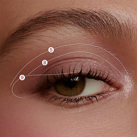 dasique Shadow Palette 29 Mauve Bear lifestyle shot