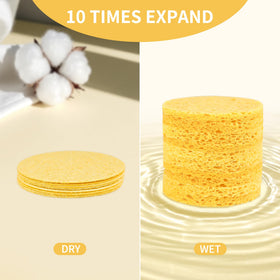 derloyo compressed facial sponge before and after soaking