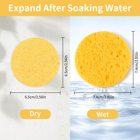 derloyo yellow facial sponge close-up