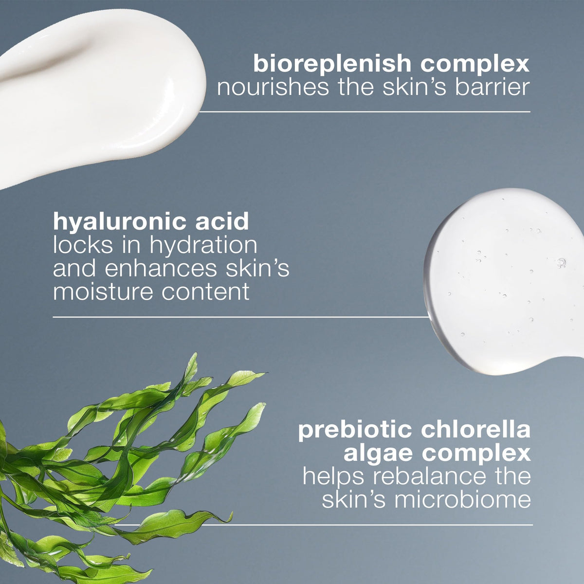 Dermalogica Intensive Moisture Balance with natural background