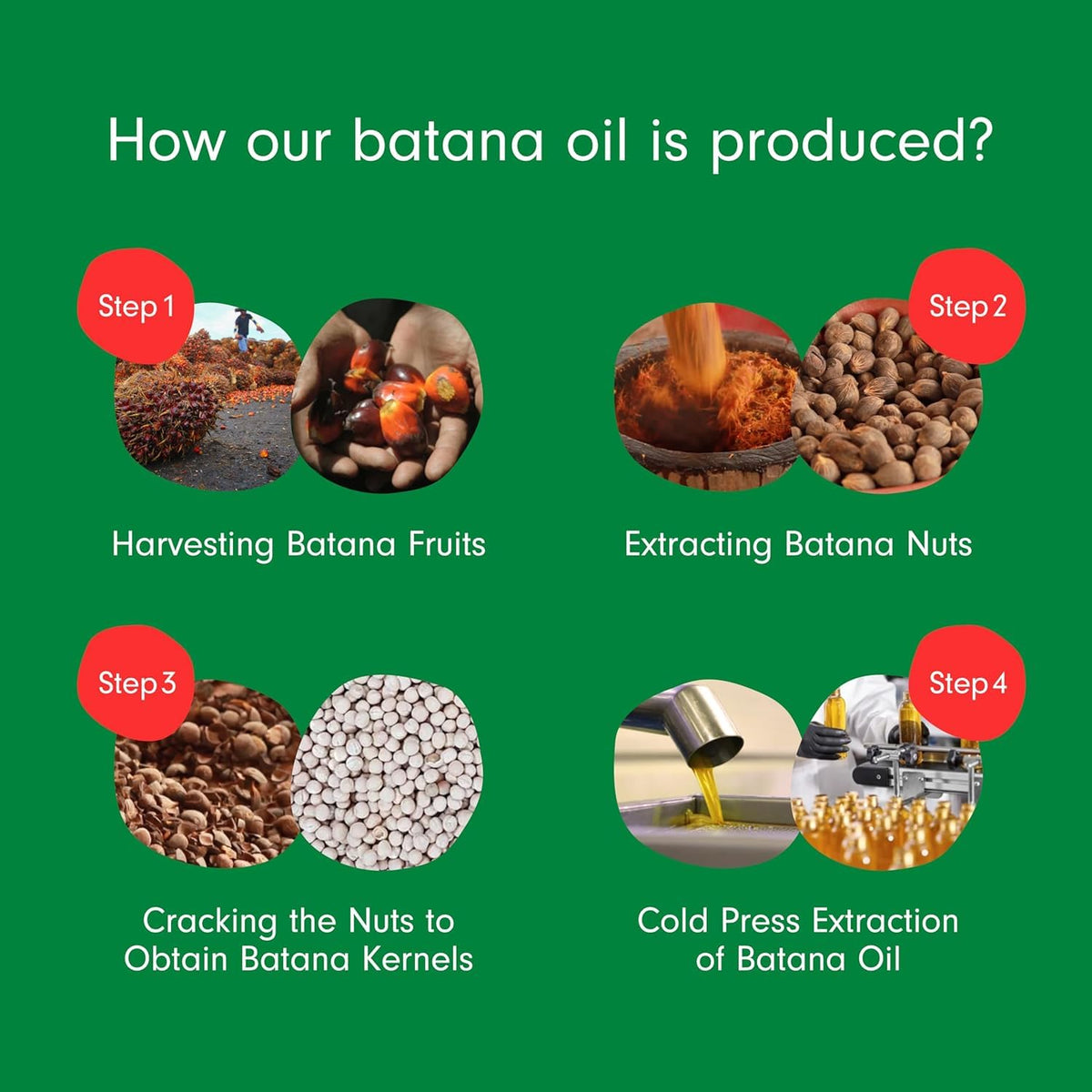Dersie Batana Oil showcasing its natural colour