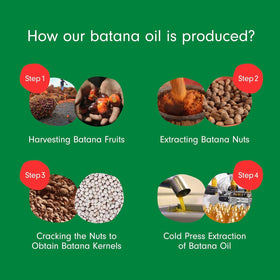 Dersie Batana Oil showcasing its natural colour