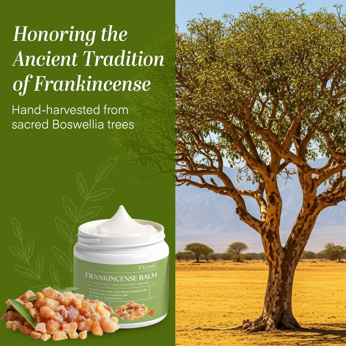 Dersie Frankincense Balm packaging details