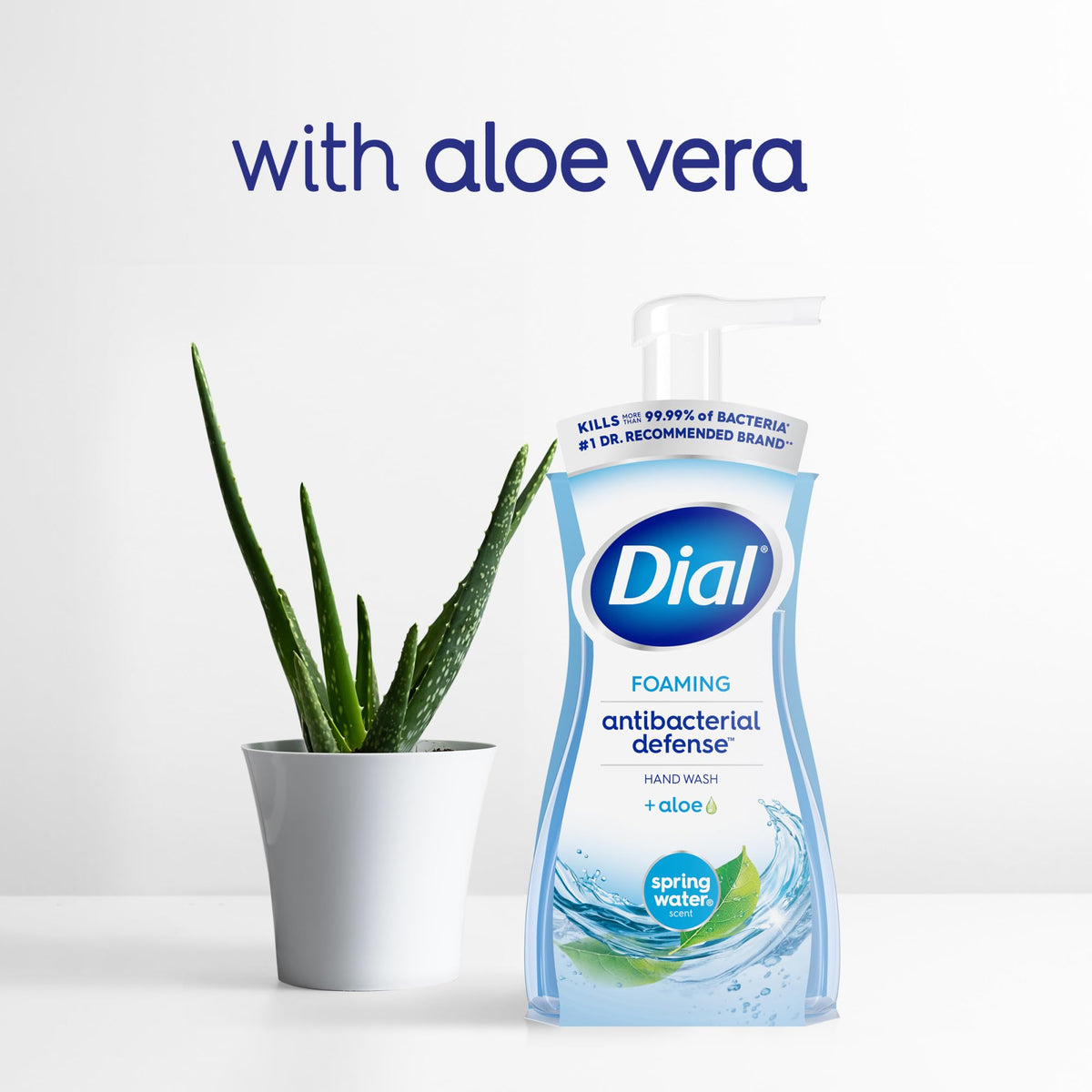 Dial Antibacterial Foaming Hand Soap in a kitchen sink