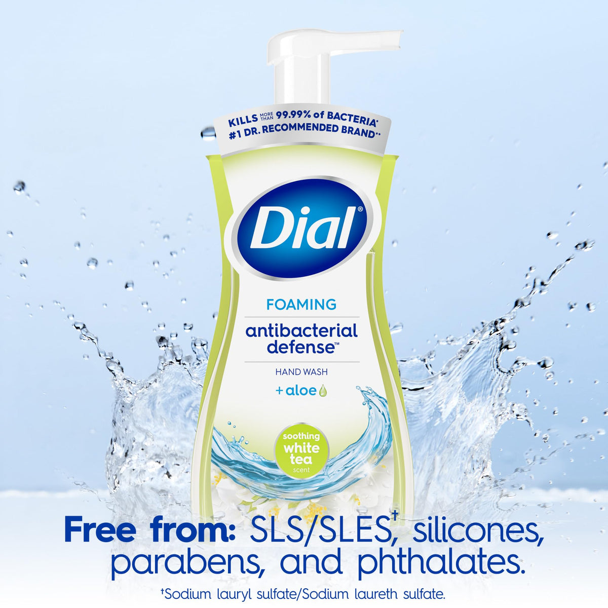 Dial Antibacterial Foaming Hand Wash with aloe vera ingredient