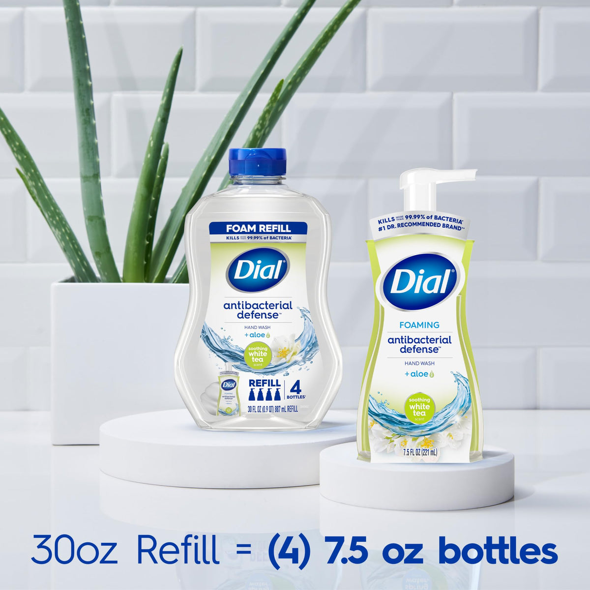 Dial Antibacterial Foaming Hand Wash with soothing white tea extract